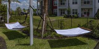 Ilumina Zephyrhills Gallery 30