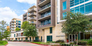 Avenue Grove Gallery 28