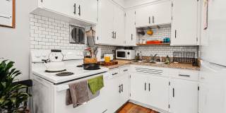 924 Lutz Avenue Gallery 14