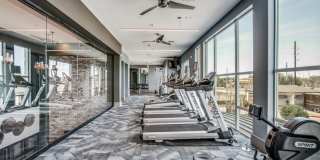 SilverStream Gallery 10