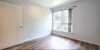925 110th Ave NE Gallery 25