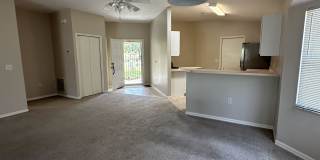 703 West Sunbird Path Gallery 14