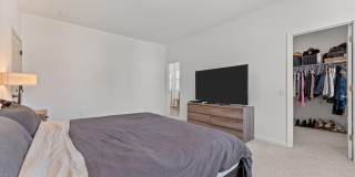 51 Walkabout Drive Gallery 22