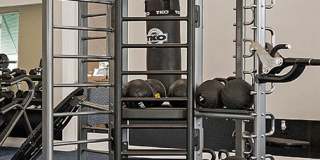 Waterline Bonita Springs Gallery 21