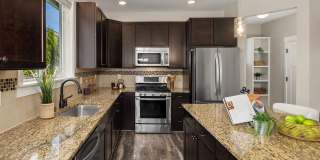 4Bd/2.25Ba Duvall Home Gallery 11