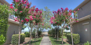 Stonelake Apartment Homes Gallery 26