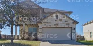 2505 Black Orchid Drive Gallery 1