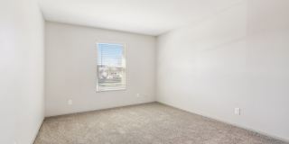 The Jameson Gallery 28