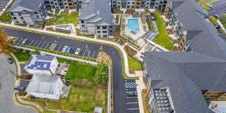 Canter Green Gallery 11