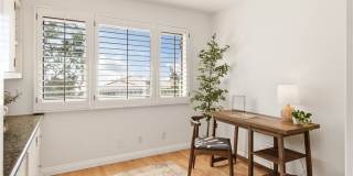 30216 Matisse Gallery 23