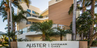 Alister Sherman Oaks Gallery 19