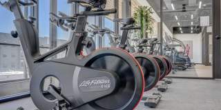 Terra Vista Gallery 29