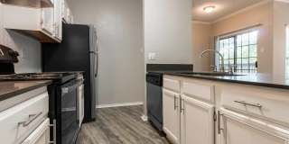 Champions of North Dallas Gallery 7