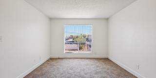 San Rivello Gallery 12