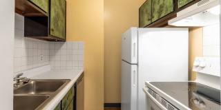 493 Delaware Avenue Gallery 13