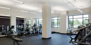 The Shoreham On France Gallery 15