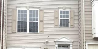 15942 CANADA GOOSE Loop Gallery 1
