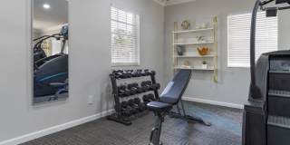 Nova at Trinity Gallery 7