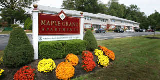 Maple Grand Gallery 1