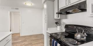 Rise Desert West Gallery 43