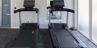 Cromwell Valley Gallery 24