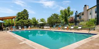 Ascent at Havana Gallery 14