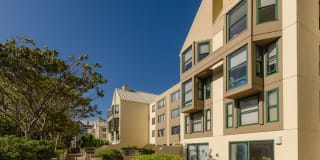 Fillmore Center Gallery 29