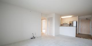 LOCATION IS EVERYTHING, Call 801 South Street #3901 Home, in the Heart of Honolulu! Gallery 8
