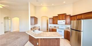 4467 E Dandelion Street Gallery 6