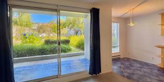 Watergate Garden Condo | 2 Bed, 2 Bath with Custom Tile Detail + Private Patio Gallery 1