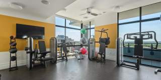 Ellis Bethesda Gallery 2