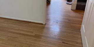 11905 OLD COLUMBIA PIKE #66 Gallery 22