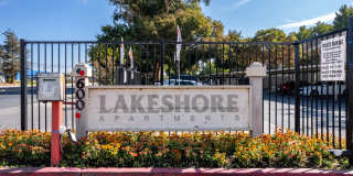 Lakeshore Apartments Gallery 6