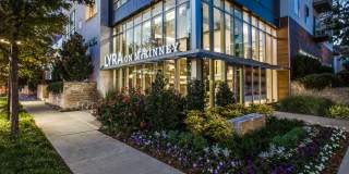 Lyra on McKinney Gallery 2