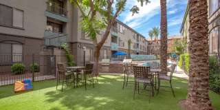 Monte Viejo Gallery 34