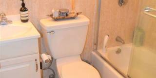 1 Bed in Brookline w/ Central AC!!! Gallery 3