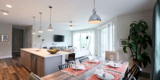 Excelsior Park Gallery 34