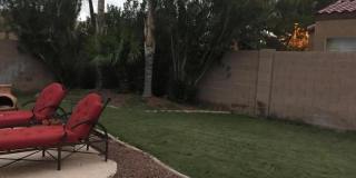 483 W Carob Drive Gallery 31