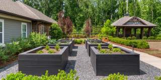 The Falls at Forsyth Gallery 26