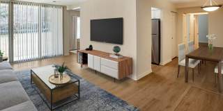 Tysons Crossing Gallery 9
