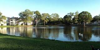 Promenade at Edgewater Gallery 21