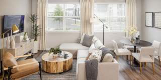 Prose Horizon Village Gallery 4