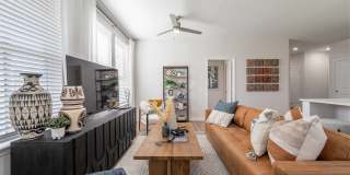 Alta Citron Gallery 66