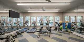 Harbor Cove Gallery 8