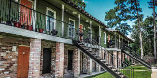 Spring Pine Gallery 14