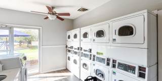 Ashford Place Gallery 62