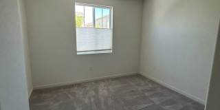 PET FRIENDLY Gallery 30