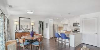 Nautilus Point Gallery 5