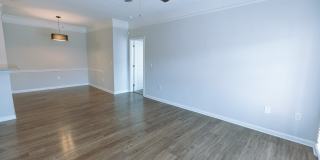 Richland Falls Gallery 20