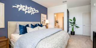 J. Ardin at Apopka Gallery 12